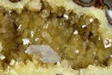 Calcite Crystal Filled, Polished Septarian Bear - Utah #176031-1